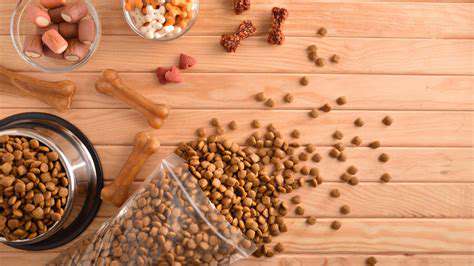 Grain Free vs. Grain Inclusive: The Pet Food Debate