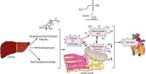 TheHeart-ProtectingPowerofTaurine:UnveilingtheMechanisms