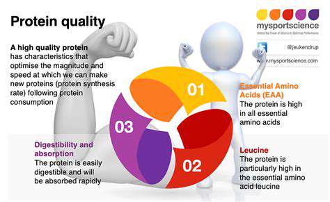 TheImportanceofHigh-QualityProteinSources
