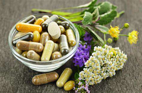 Holistic Pet Care: A Balanced Approach