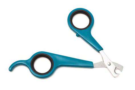 Dog Nail Grinders: A Quieter Alternative