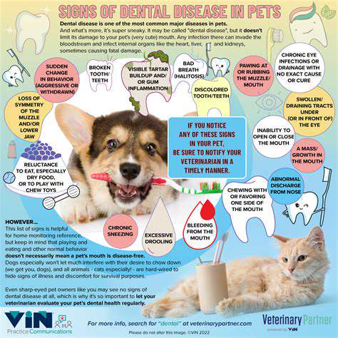 TheSilentThreatofDentalDiseaseinPets