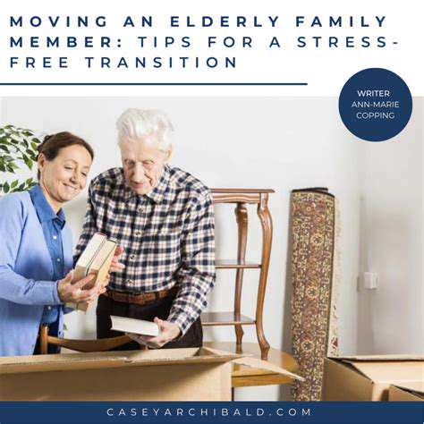 Transitioning Pet Food: A Smooth Change for Your Companion