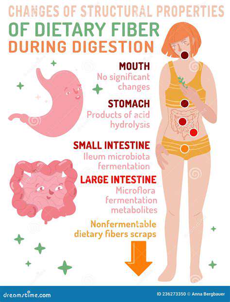 TypesofFiberandTheirDigestiveImpacts