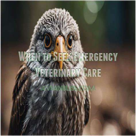 Recognizing Pet Respiratory Distress: When to Act