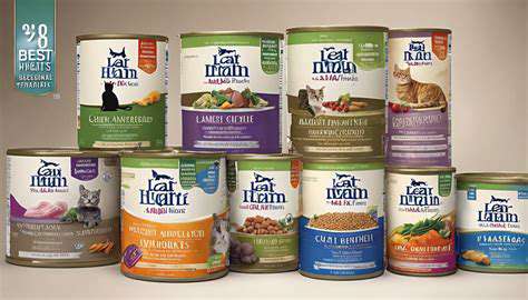 Best Dry Cat Foods for Weight Management