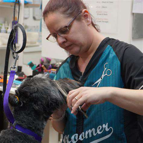 Professional Pet Grooming: When to Opt For It