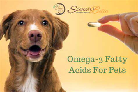 Omega 3s for Pets: Benefits for Skin and Coat