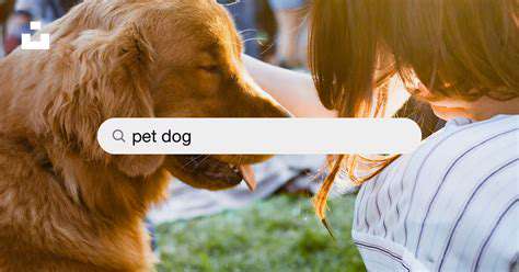 ChoosingtheRightPlaypenSizeandTypeforYourPuppy