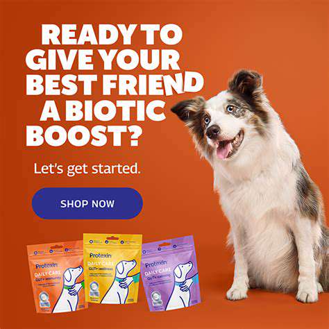 Prebiotics for Pets: Gut Health Explained