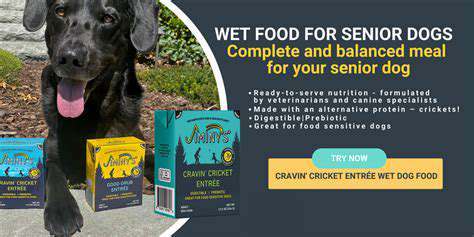 Best Wet Dog Foods for Senior Dogs