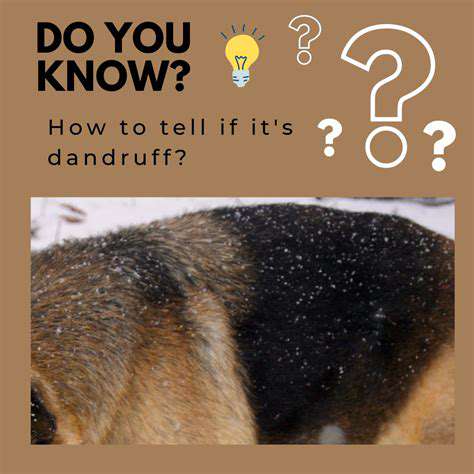 CommonCausesofPetDandruff