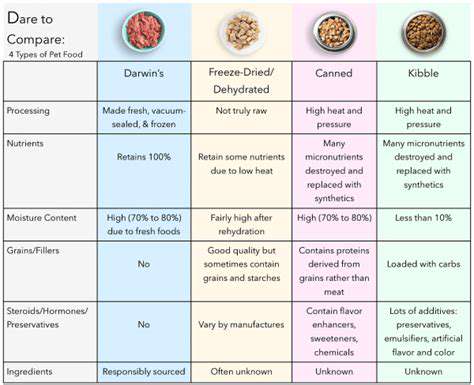 Decoding Pet Food Ingredients: A Comprehensive Guide
