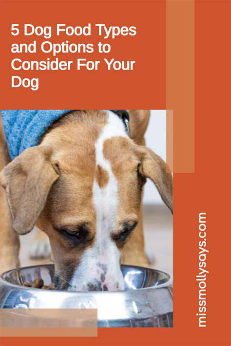 Best Senior Dog Foods for Aging Pups