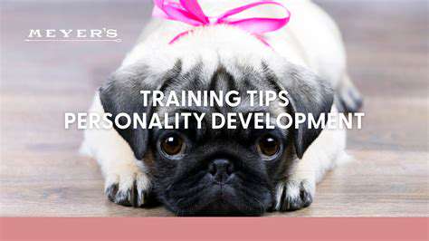 Advanced Dog Tricks: Fun and Engaging Activities