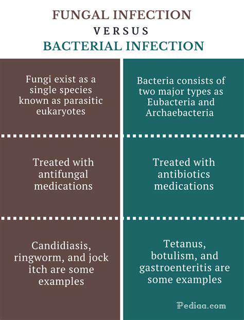 Pet Ear Infections: Symptoms and Treatment