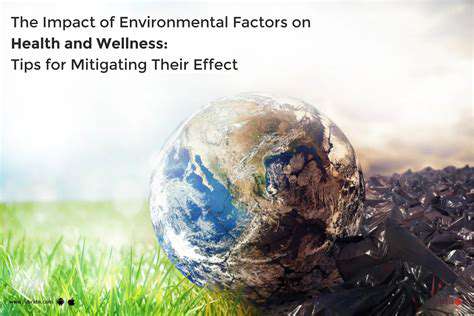 EnvironmentalFactorsandTheirImpactonPetWell-being