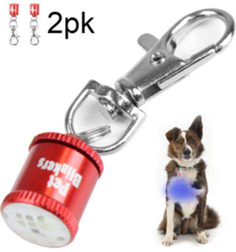 Pet Safety Lights: Visibility for Night Walks