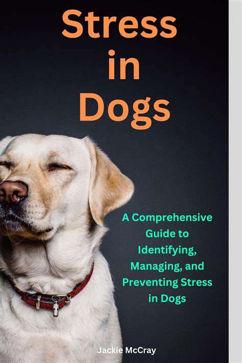 Administering Pet Medication: Tips and Tricks
