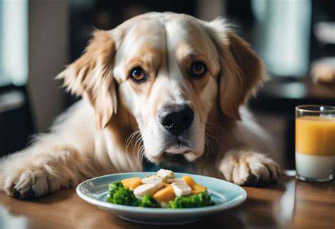 IdentifyingNutritionalNeedsofSeniorDogs