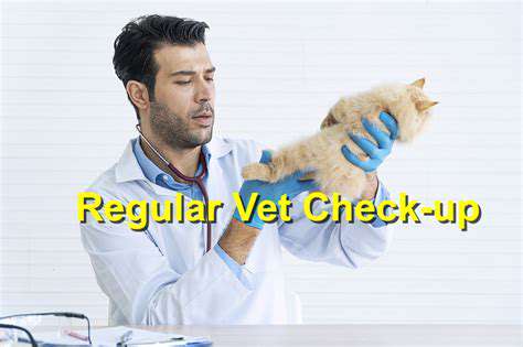 ImportanceofRegularEyeChecksforPets