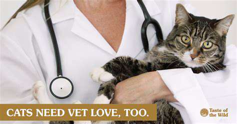 Preventing Zoonotic Diseases from Pets