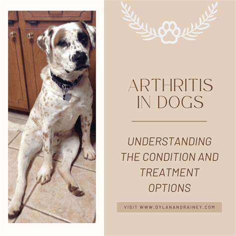 MedicationOptionsforManagingPetArthritis