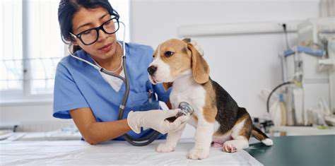 Customizing Your Pet's Diet for Specific Needs