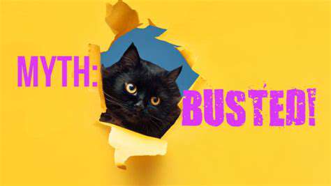 Spaying and Neutering Myths: The Truth