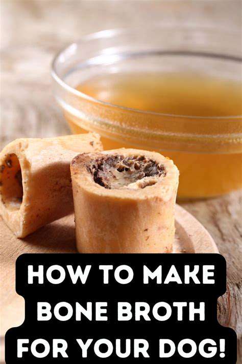 Homemade Bone Broth for Pets: A Nutrient Boost