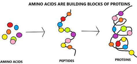 Protein:TheBuildingBlockofGrowth