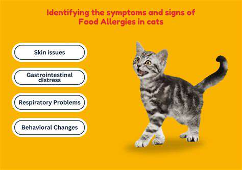 RecognizingtheSignsofFoodSensitivityinCats