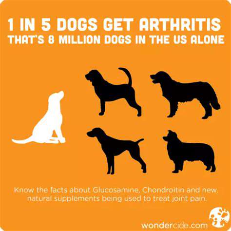 RecognizingtheSignsofPetArthritis