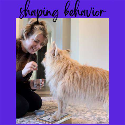 TheCrucialRoleofDietinShapingCanineandFelineBehavior