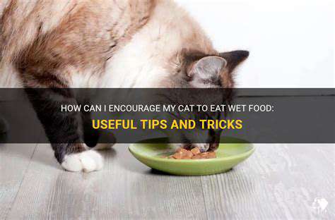 Best Wet Cat Foods for Picky Eaters