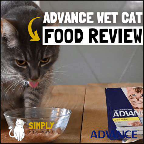 TopWetFoodBrandsforPickyCats