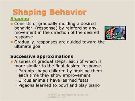 Advanced Puppy Training: From Basics to Brilliance