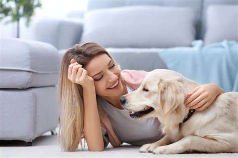 BehavioralTherapyandTraining:EquippingYourPetwithCopingMechanisms