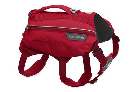 ChoosingtheRightHydrationPackforYourDog'sNeeds
