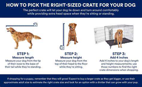 ChoosingtheRightSizeandFitforYourDog