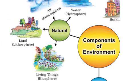 EnrichingYourPet'sEnvironment:AVitalComponent