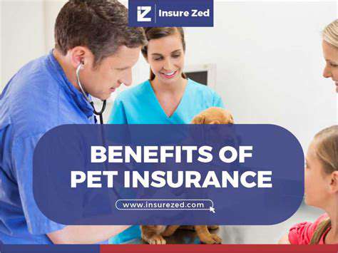 ExploringtheBenefitsofPetInsurance:ProtectingYourWalletandYourFurryFriend