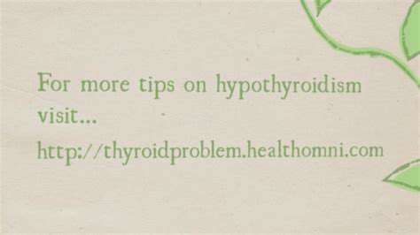 Pet Hypothyroidism: Symptoms and Management