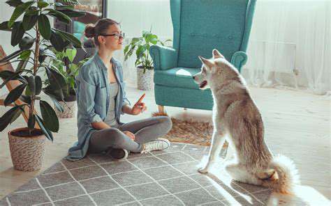 NavigatingDistractions:BuildingImpulseControlinYourDog