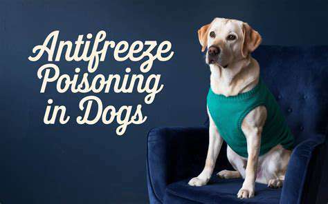 ProtectingYourPet:PreventingAntifreezeExposure