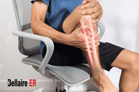 Pet First Aid for Fractures: Immediate Care