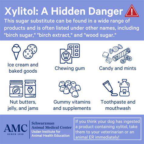 Dangers of Xylitol: Toxic to Dogs