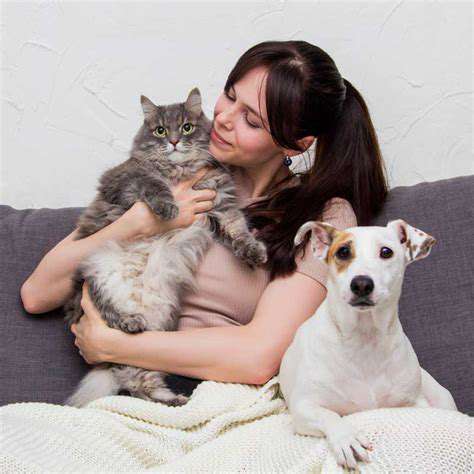 TailoringaPreventativeHealthPlantoYourPet'sNeeds