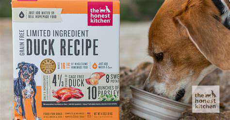 TheImportanceofLimitedIngredientDiets