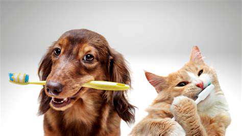 TheImportanceofOralHygieneinPets